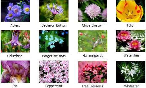 Click here to download this screensaver.